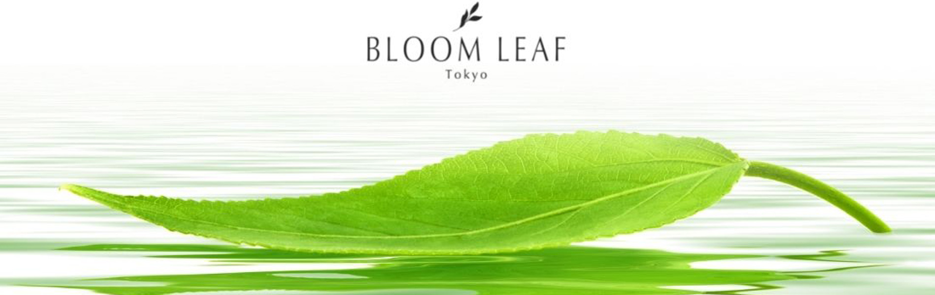 BLOOM LEAF